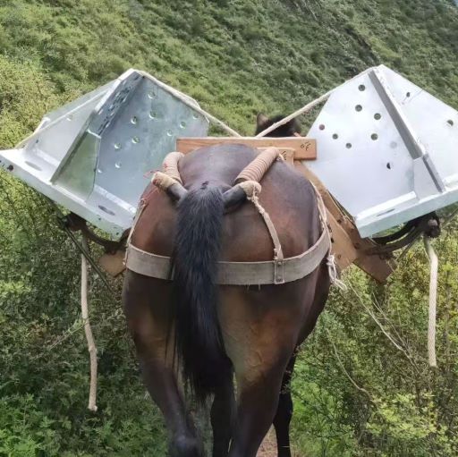 廣東騾子運輸隊